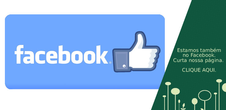 Curta nossa page no facebook.